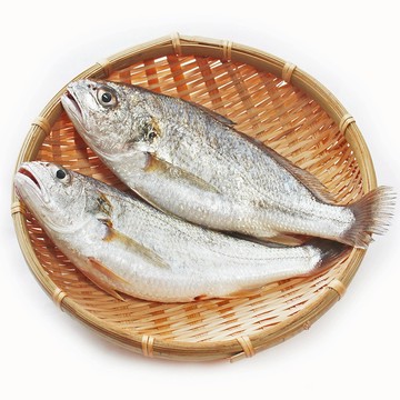 野生白口魚 3去 150g-180g/隻【甲上生鮮】