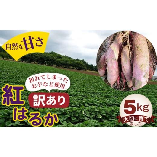 ふるさと納税 茨城県 坂東市 No.384 紅はるか5kg ／ お芋 甘い さつまいも 茨城県