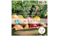 都内マルシェで人気のお野菜！ 秋冬 旬の野菜セットMサイズ(7～8品) F21R-212