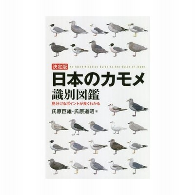 日本のカモメ識別図鑑 決定版 見分けるポイントが良くわかる 通販 Lineポイント最大get Lineショッピング