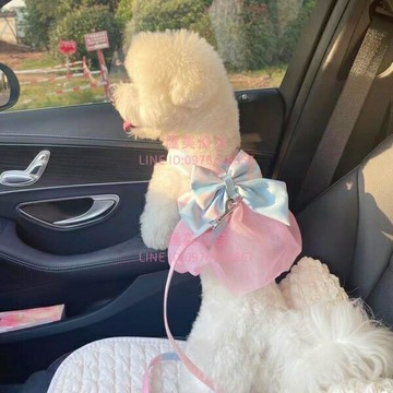 幻彩狗狗牽引繩網紗背帶遛狗繩子寵物仙女彩虹大蝴蝶結貓咪胸