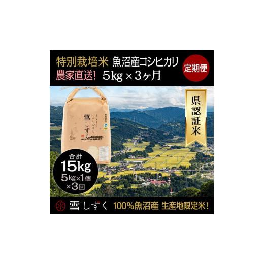 ふるさと納税 新潟県 十日町市 定期便！農家直送！県認証特別栽培魚沼産コシヒカリ毎月5kg×3回