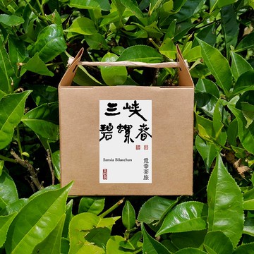 三峽碧螺春 | 茶包10入【清揚香氣】