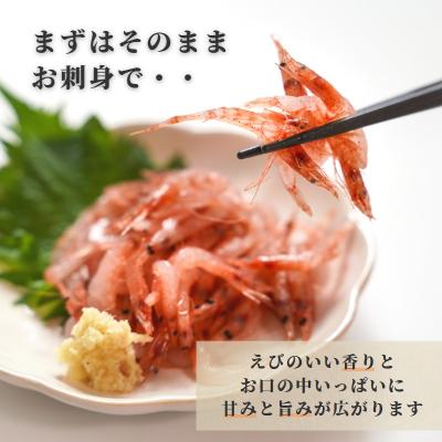 ふるさと納税 焼津市 焼津特選 生桜えび100g×3(a10-679)