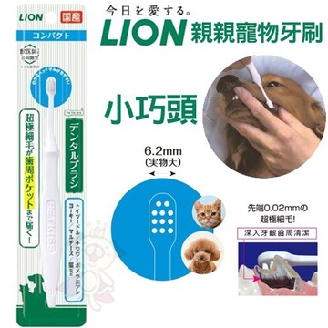 日本LION獅王 親親寵物牙刷 小巧頭 細軟毛可溫和潔牙『寵喵樂旗艦店』