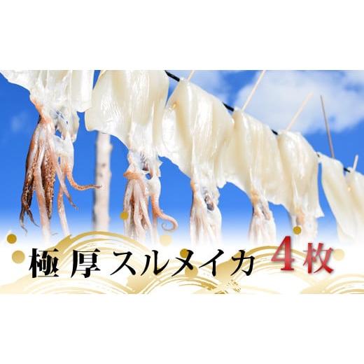 ふるさと納税 高知県 大月町 極厚スルメイカの一日干し 4枚