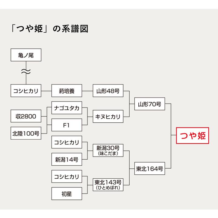 山形県産 置賜産 つや姫 玄米 5kg 1等 令和5年産 特栽減減  精米,分搗き指定 無料 新米