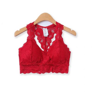 蕾絲文胸秋季新款外貿少女帶胸墊無鋼圈性感蝴蝶美背式內衣11620