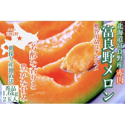 ふるさと納税 富良野市 富良野メロン(赤肉)夏ギフト秀品1.6kg 2玉入