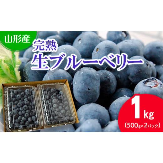 ふるさと納税 山形県 山形市 山形の完熟生ブルーベリー 1kg(500g×2パック) FU20-082