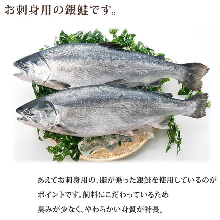 お歳暮 御歳暮 ギフト 2023 海鮮  南三陸産 銀鮭の醤油煮 缶詰 (180g) 6缶 ギフト 箱入 マルヤ水産 送料無料 おつまみ 缶詰ギフト のし 熨斗