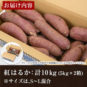 akune-2-151 ＜訳あり＞鹿児島県産さつまいも｢紅はるか｣(計10kg)国産 熟成 詰め合わせ 野菜 さつま芋 焼芋 鹿児島産 大小混合 期間限定2-151