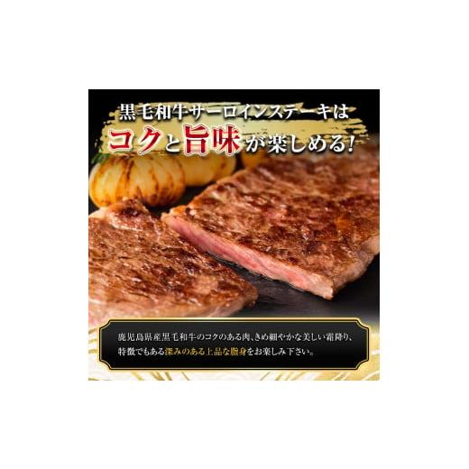 ふるさと納税 鹿児島県 鹿屋市 1397 鹿児島県産黒毛和牛 A5ランク サーロインステーキ 500g［250g×2枚］ 