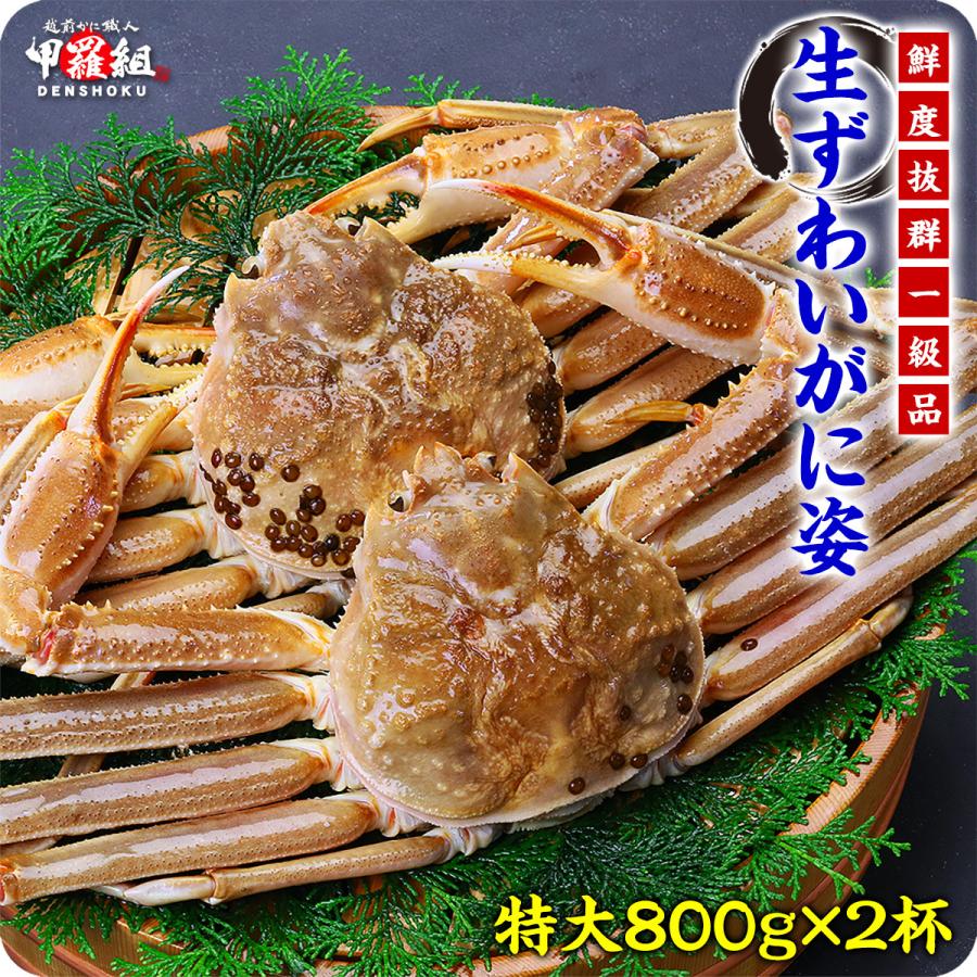 かに カニ 蟹 超特大サイズ 生ずわいがに姿800g前後×2尾入ギフト プレゼント 贈り物 ギフト ズワイガニ  FF