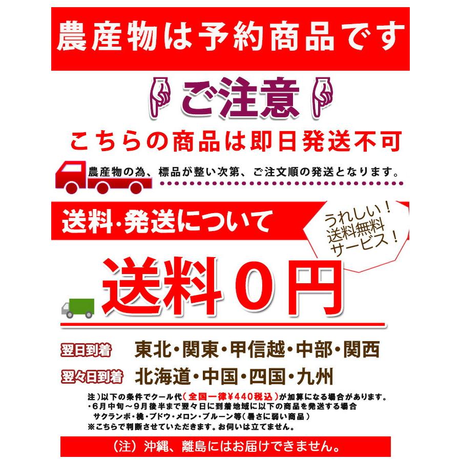 さくらんぼ 紅秀峰 山形 贈答 ギフト 秀ＬA 1kg ばら詰め 佐藤N (BS-004 プレゼント チェリー お中元 サクランボ お中元 内祝い 農産物