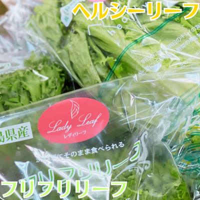 ふるさと納税 鹿屋市 洗わずに食べられる水耕栽培レタス5袋　2257