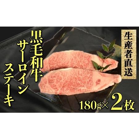 ふるさと納税 黒毛和牛サーロインステーキ　2枚セット 宮崎県小林市