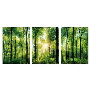 24mama 掛畫 三聯式 森林之歌 陽光 叢林 招財 風水 自然風景 居家裝飾 40 x 30cm