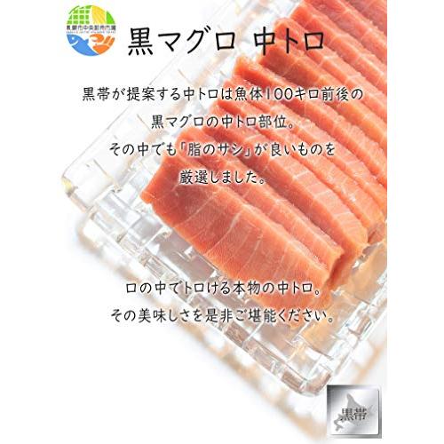 本マグロ 黒マグロ まぐろ 中トロ 250-300g前後 パック お刺身 お寿司 海鮮丼用 鮪 トロ (1パック 300g ご自宅用)