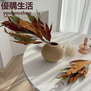 優購生活~chicfun進口雙面葉天然干花網紅家居民宿服裝店真花裝飾ins風客廳咖啡廳 咖啡店 甜品店 擺件 裝飾 網美 自拍 藝術