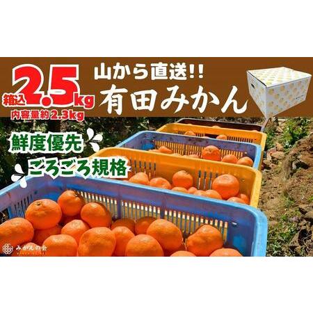 ふるさと納税 みかん 山から直送 箱込 2.5kg 内容量約 2.3kg 鮮度優先ごろごろ規格 和歌山県産 産地直送 家庭用 和歌山県有田川町