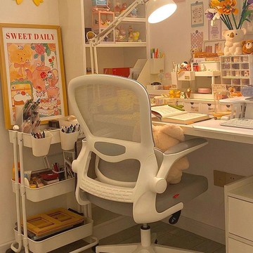 ??快速出貨 可開發票 電腦椅舒適久坐家用人體工學電競椅男宿舍椅子學生靠背椅辦公座椅