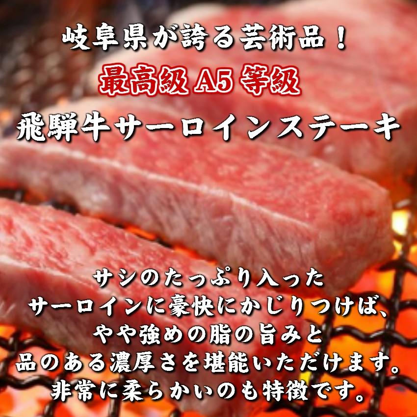 飛騨牛 サーロインステーキ 250g × 1枚 A5 肉 ギフト ステーキ肉 黒毛和牛 鉄板 焼肉