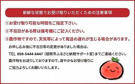 新食感!!奇跡のさくらんぼミニトマトの定期便 500g×6回コース H004-139