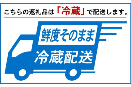 特大！！ふっくら肉厚！！特選うなぎ2尾を2回お届け♪YS0003