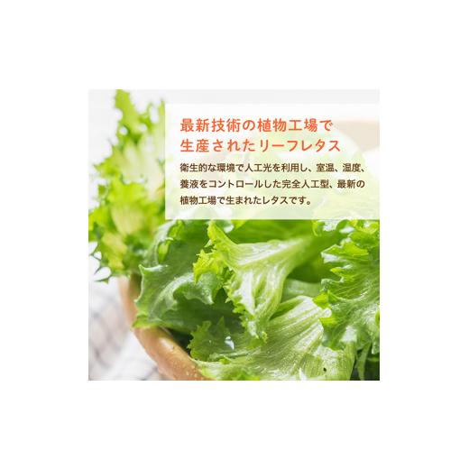 ふるさと納税 兵庫県 加西市 最新植物工場レタス ピュアリーフ 4個入り 栽培期間中農薬不使用 新鮮 長持ち 栄養 健康 衛生的 安全 安心 低雑菌 年内受付