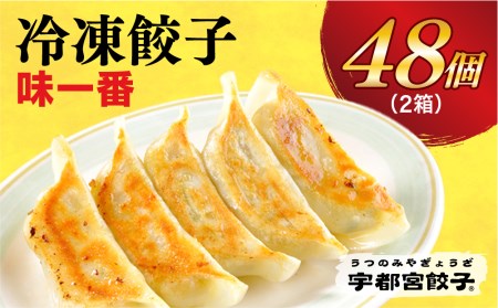 　餃子24個入り×2箱