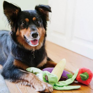 【狗狗玩具 田園農趣 3件組】寵物  啾啾聲 抗憂解壓