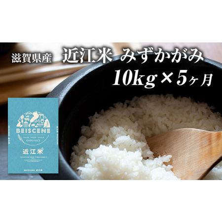 ふるさと納税 令和5年産新米　滋賀県豊郷町産　近江米 みずかがみ　10kg×5ヶ月 滋賀県豊郷町