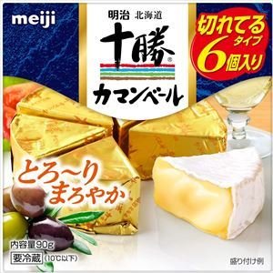 送料無料 明治 北海道十勝カマンベール切れてるタイプ 90g×9個 クール