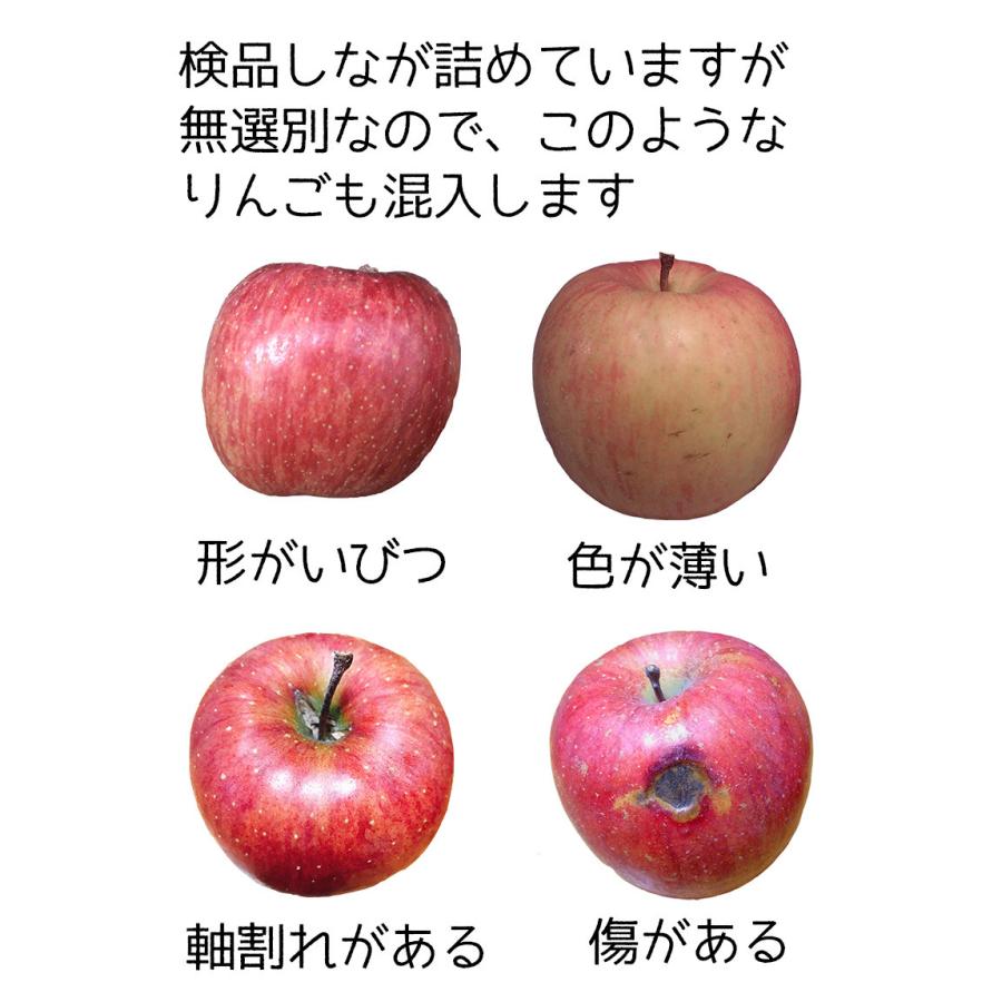 りんご 訳あり 5kg箱 青森県産 サンふじ りんご 5Kg前後 送料無料 糖度保証 りんご 訳あり 5kg箱 予約 11月以降発送