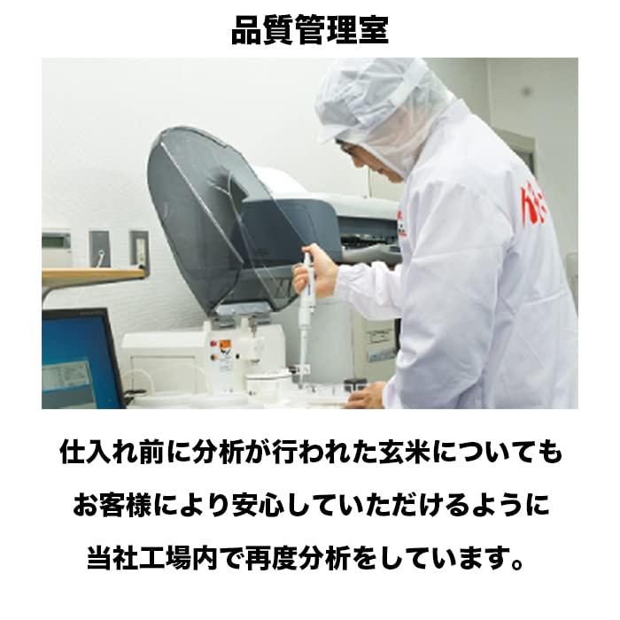 北海道産 ななつぼし 5kg 米 お米 白米 おこめ 精米 単一原料米 ブランド米 5キロ 国内産 国産 令和4年産 (5kg)