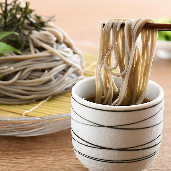 そば 蕎麦 越前そば 2食入り 半生 つゆ付き 福井 お土産 お歳暮 ギフト 贈答