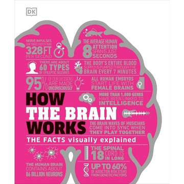 How the Brain Works 大腦是如何運作的