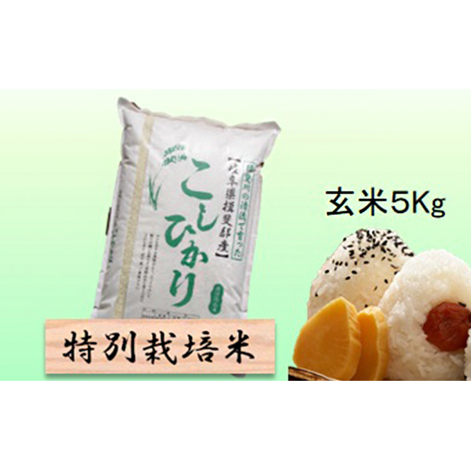 特別栽培米★玄米５kg 