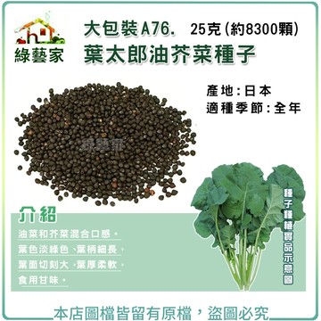 【綠藝家】大包裝A76.葉太郎油芥菜種子25克(約8300顆) // 油菜和芥菜混合口感。葉色淡綠色、葉柄