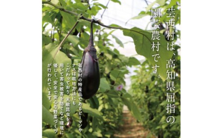 野菜とお米の詰合せ