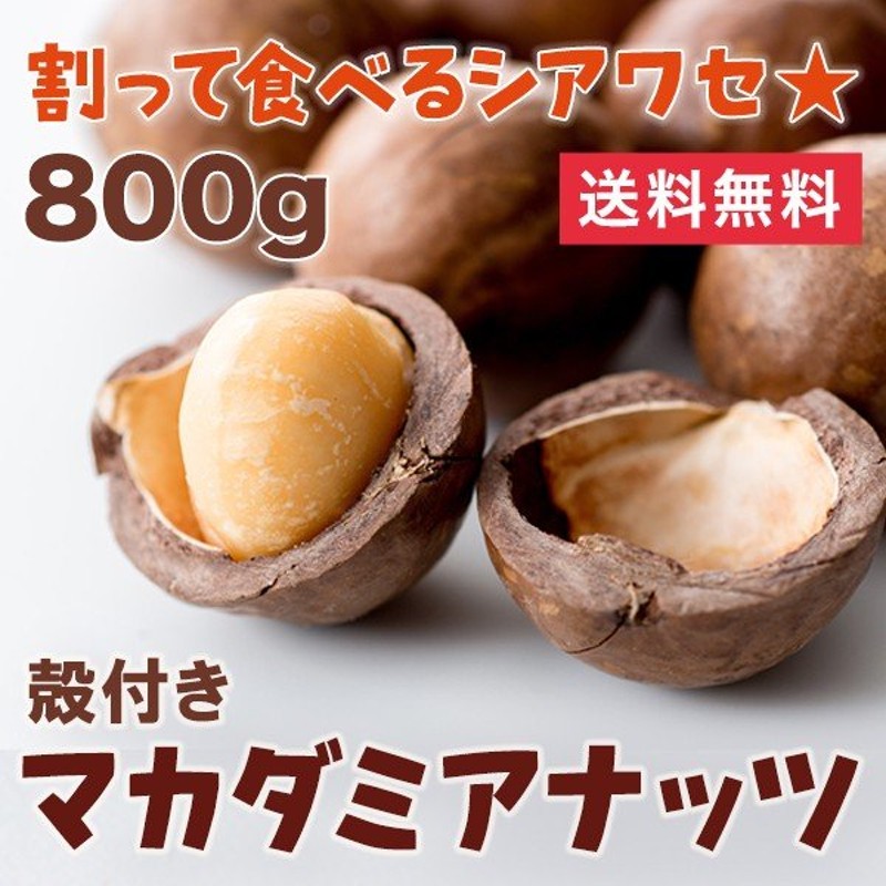 割って食べるから新鮮香ばしい 殻付きマカダミアナッツ 800g マカデミアナッツ 通販 LINEポイント最大0.5%GET | LINEショッピング