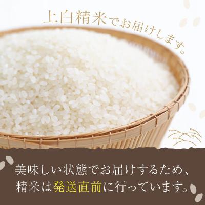 ふるさと納税 京丹後市 令和5年産　丹後こしひかり1等米5kg