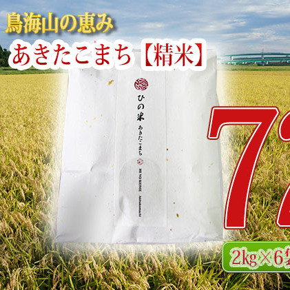 《定期便》12kg×6ヶ月 秋田県産 あきたこまち 精米 2kg×6袋 神宿る里の米「ひの米」（お米 小分け）