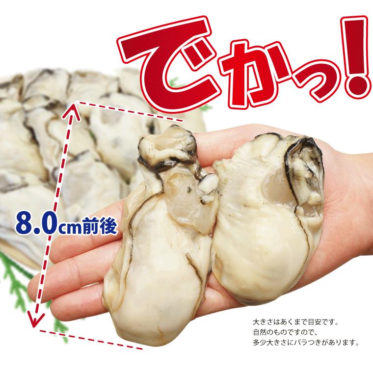 海鮮バーベキューセット 赤エビ 5尾 ホタテ 殻付き 5枚 牡蠣 400ｇ (3-5人前) 海鮮セット 海鮮福袋 BBQ バーベキュー お取り寄せ 海鮮鍋 海鮮おせち ((冷凍))