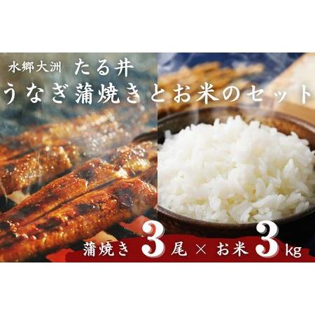 ふるさと納税 水郷大洲たる井の「国産うなぎ蒲焼き3尾」と大洲産のお米 愛媛県大洲市