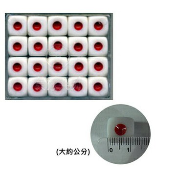 【文具通】1號 骰子10入 T3010002【APP滿額下單10%點數(單一帳號最高1500點)】8/31止