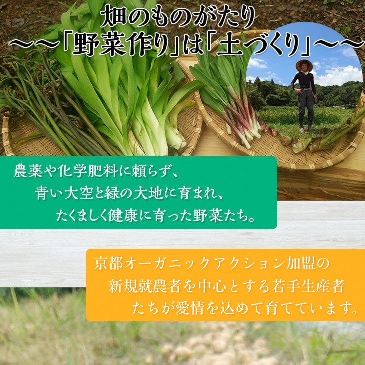 ＜アスカ有機農園＞旬の京野菜セットS＊毎月お届け全4回≪定期便 セット ふるさと納税野菜≫