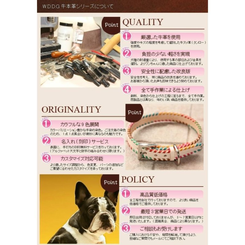 Mungo and&Maud uk 発モードなドックWearリード首輪セット