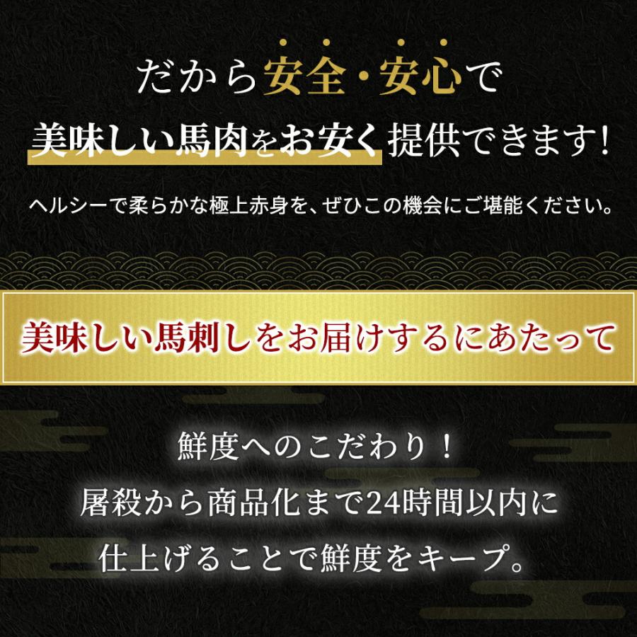 馬刺し 赤身 ヒレ 800g 10袋付き  送料無料